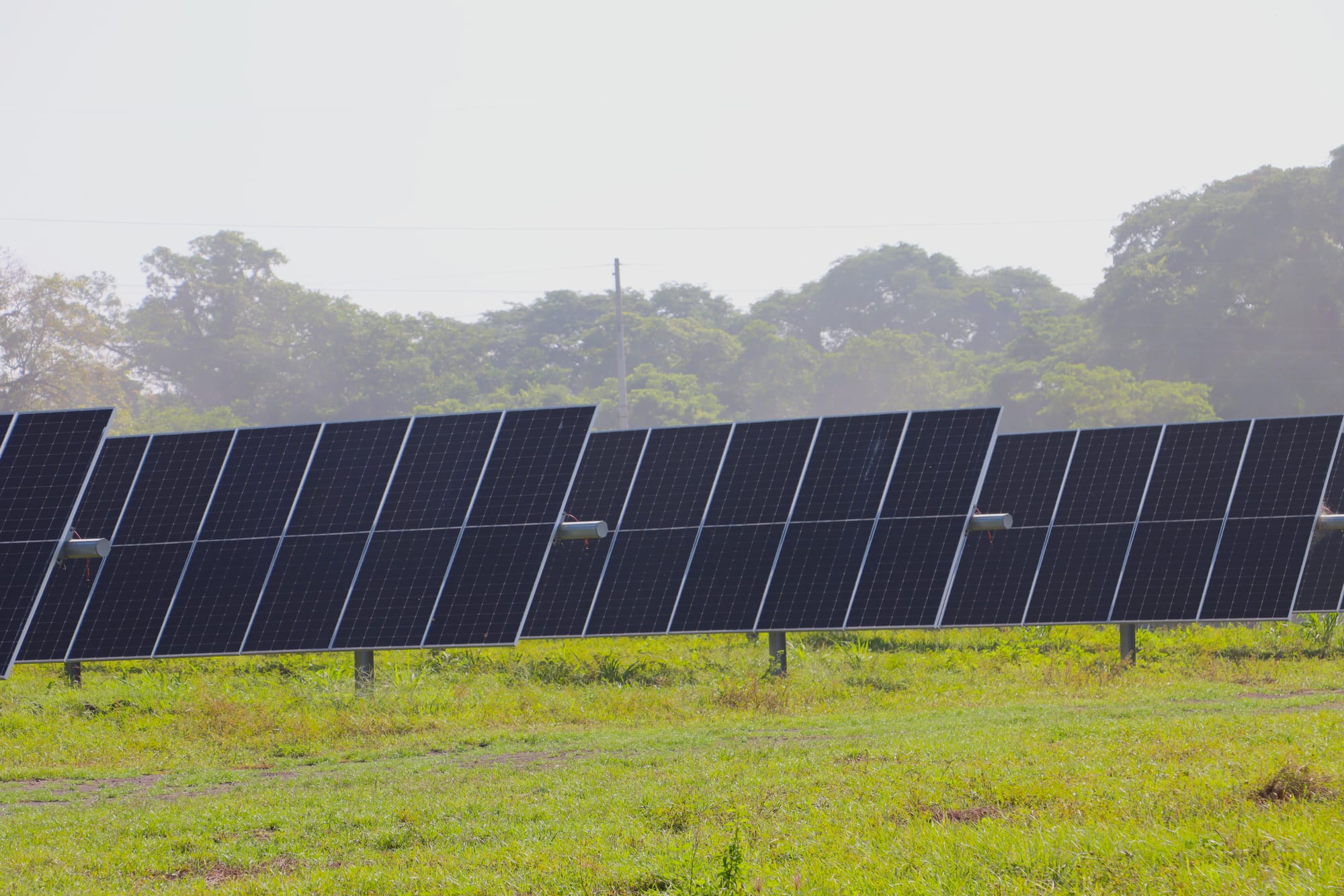 Nueva planta solar en Escuintla: Magdalena y MPC lideran proyecto Energía grande